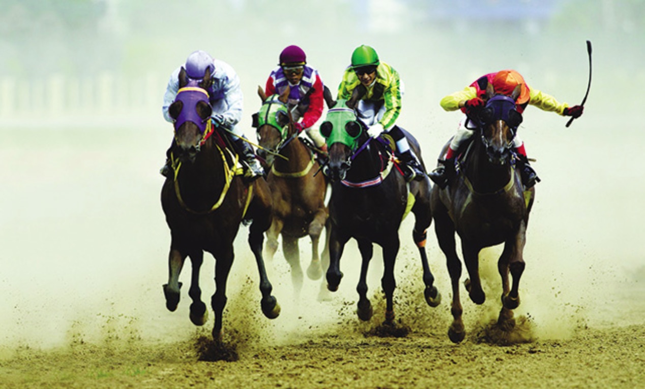 香港企業がベトナムに2億相当の競馬複合建設を協議 Iag Japan 香港企業がベトナムに2億相当の競馬複合建設を協議 Iag Japan