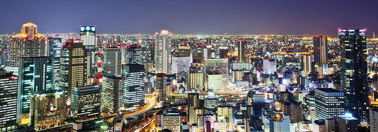 大阪の大阪による大阪の ためのir Ir推進 100 社 会 の存在意義 Iag Japan