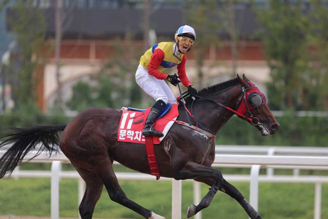 今週は 無観客 日本ダービーだが 韓国競馬は再開に足踏み Iag Japan