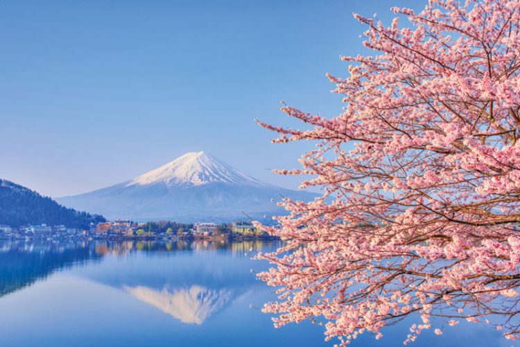 2021:日本版IR 試練の時第2部 - IAG Japan