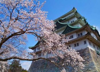 日本 Archives 41ページ目 5ページ中 Iag Japan